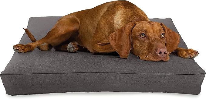 XX-Large - 54 x 36 x 6 - Shadow Gray Premium Organic Hemp Dog Bed - CertiPUR Fill - Removeable Cover