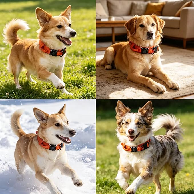Upgraded AirTag Dog Collar,Waterproof Tactical Dog Collar with AirTag Holder, Control Handle and Metal Buckle,Heavy Duty Dog Collars for Large Dogs(Orange，XL