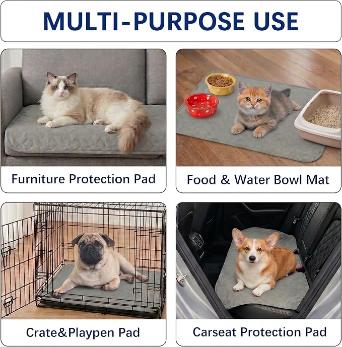 Gentle Purr Large Washable Pee Pads for Dogs 36" x 36", 2 Pack Reusable Puppy Training Pads, Soft Oeko-TEX Certified Polyester Top, Absorbent Non-Slip Crate Liners for Whelping and Senior Dogs, Gray