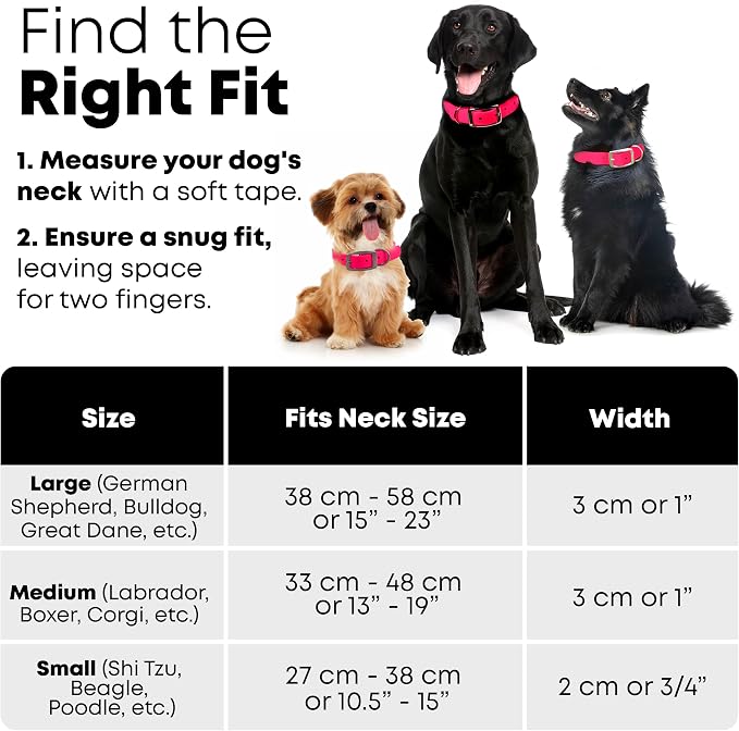 Regal Dog Products Medium Pink Waterproof Dog Collar and Leash Set | Heavy Duty Double Buckle & D Ring - 5'ft Leash | Adjustable Biothane Dog Collar | Chew Resistant Waterproof Collar for Dogs