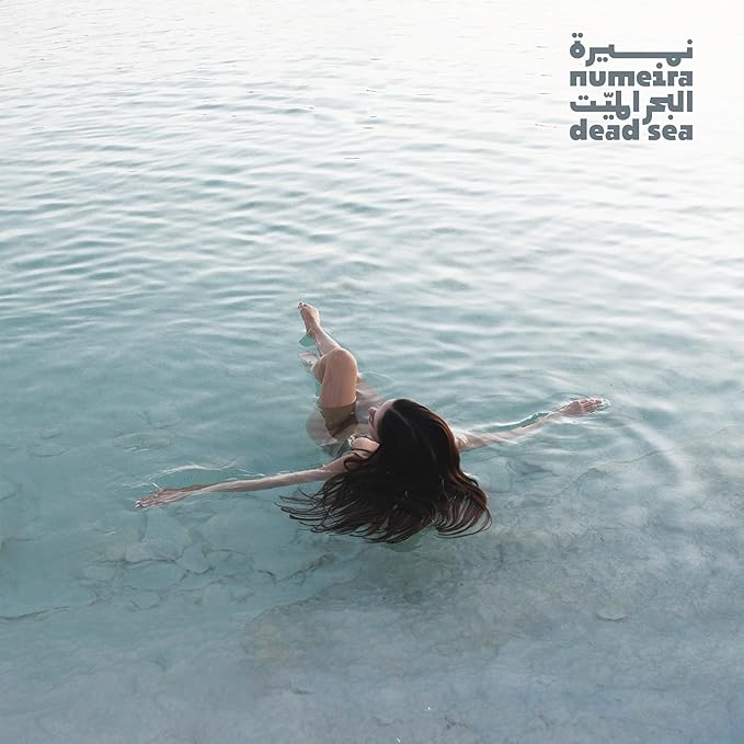 Dead Sea Salts for Soaking Relaxing Sea Salt Bath Soak for Body Rejuvenation - Natural Mineral Salts - Coarse Dead Sea Salt Unscented Bath Salts for Women & Men (8.82 oz)