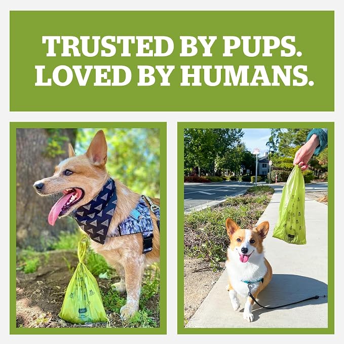 Pogi's Compostable Poop Bags with Easy-Tie Handles – Leak-Proof, Extra-Large, Made with Plants (Single Roll, 120-Count)