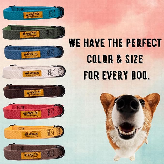 Pawsitive Hemp Dog Collar - Super Soft Hypoallergenic Lining. Great for Small, Medium and Large Dogs; Medium Rosemary Red