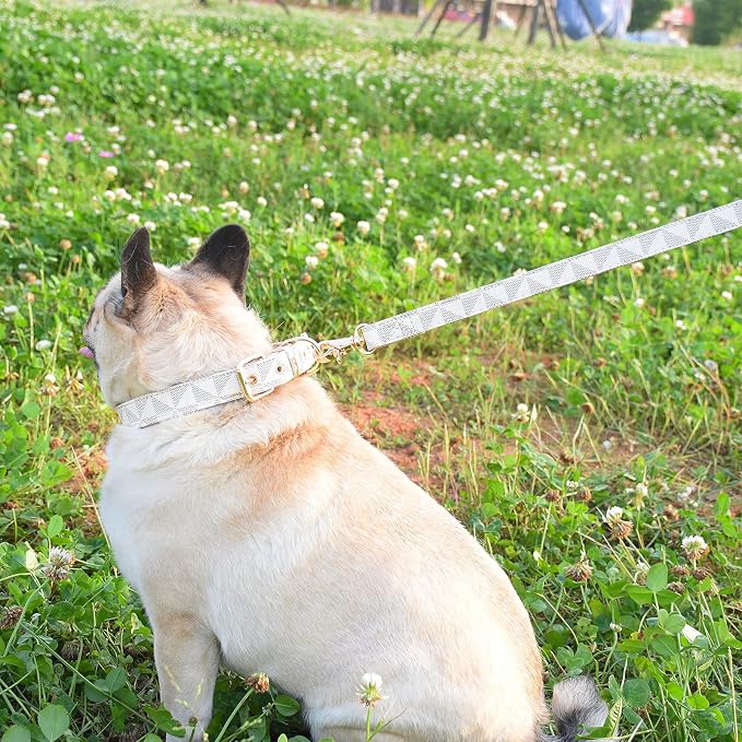Leather Dog Collar and Leash Set, Check Pattern Dog Collar Leashes Metal Buckle Adjustable Durable for Small Medium Large Dogs (White, L(14.5-18.5IN))