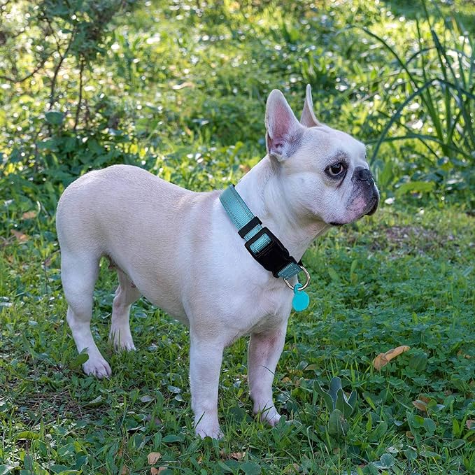Ladoogo Reflective Dog Collar Padded with Soft Neoprene Breathable Adjustable Nylon Dog Collars for Small Medium Large Dogs (Medium (Pack of 1), Blue Collar+Leash)