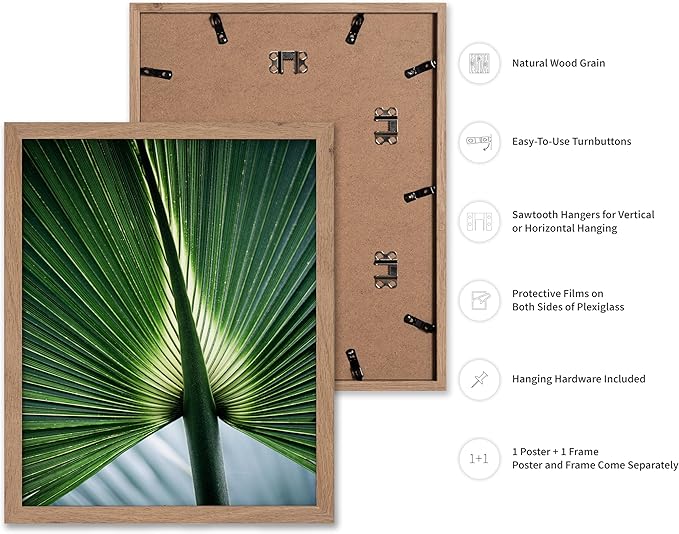 Monem Art Tropical Palm Leaf Macro Photography Print - Minimalist Botanical Nature Art Poster - Wall Decor for Living Room, Bedroom or Office - 12x16 Beige Framed Wall Art by Mareike Bohmer