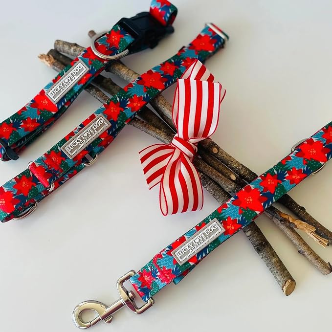 Lucky Love Dog - Adjustable Dog Collar with Easy Click Noel for Medium, Durable, & Comfortable for Male & Female Dogs, Pet Collar for Puppies & Adult Dogs - Noel, Medium