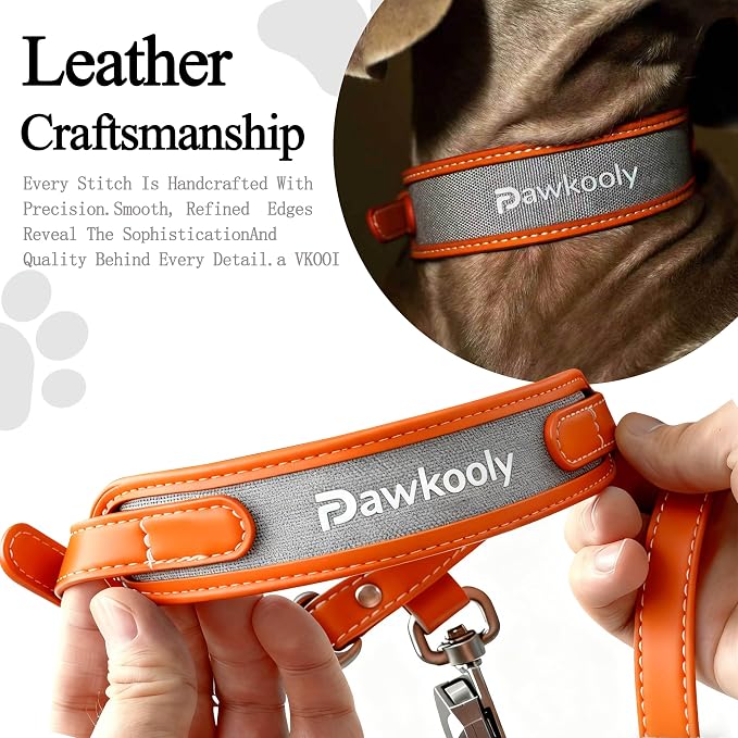 MagEase Dog Collar with 4FT Leash | Adjustable | Anti-Wrinkle, Bite & Stain-Resistant Leather | Soft & Skin-Friendly | 450LB Escape-Proof Magnetic Buckle (Orange, Large)