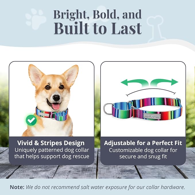 Lucky Love Dog Martingale Dog Collar & Leash - Adjustable, No-Slip, Durable, Comfortable, Soft Webbing, & Stylish Patterned Collar & Leash Set for Male and Female Dogs - Nacho Combo, Small