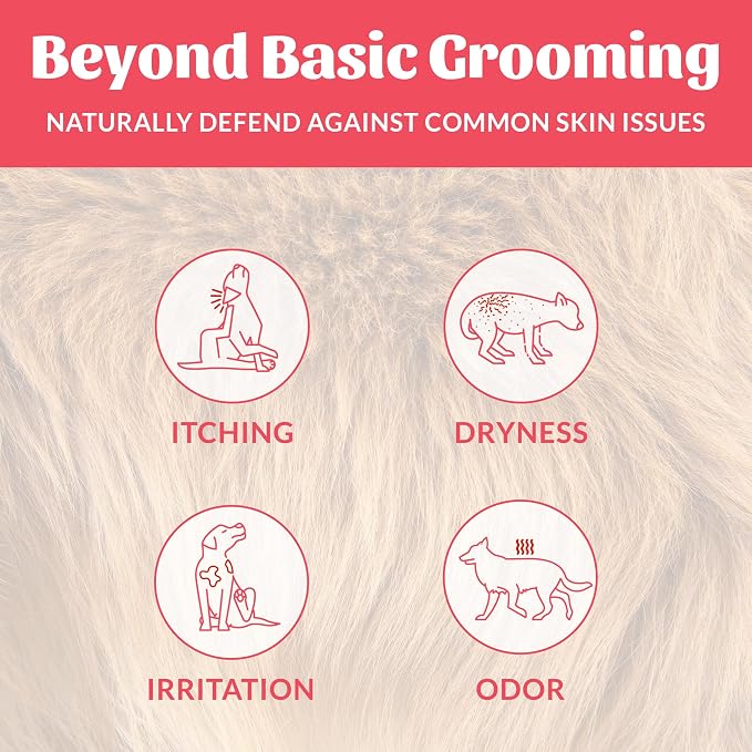Skout’s Honor Probiotic Natural Dog Shampoo and Conditioner with Avocado Oil & Omega-3s, Gentle Puppy Shampoo, Hydrating Dog Conditioner, 97% Natural, Paraben & Sulfate-Free, Cruelty-Free, 16 oz