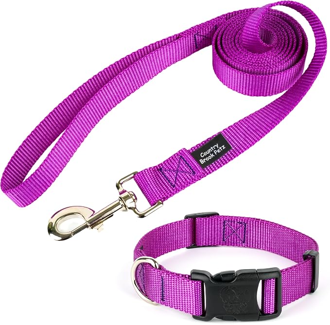Country Brook Petz - Everyday Nylon Dog Collar and Leash - 10+ Cool Colors (1 Inch, Extra Large, Bright Purple)