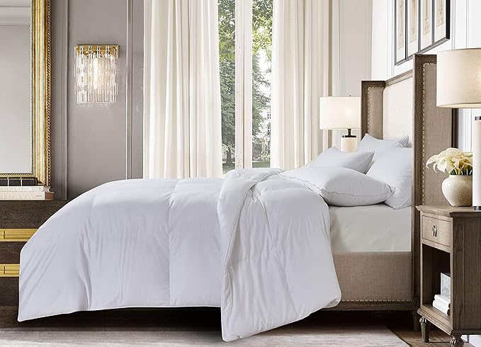 Blue Ridge Home Fashions Season Light Weight Down Alternative Comforter-Hypoallergenic Microfiber Fill, Twin, White
