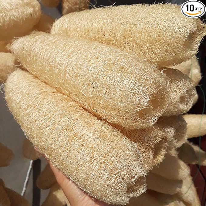 10 Pcs (5 – 7 Inches) Shower Loofah Exfoliating Body Scrubber | Natural Loofah Sponge | Bath for Loofah for Men and Women | Pack of 10