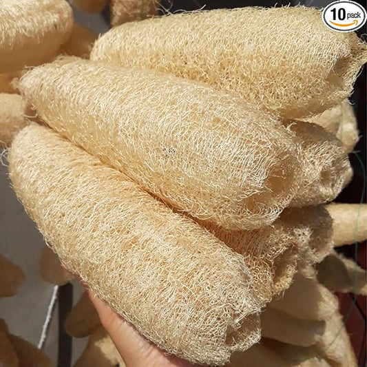 10 Pcs (5 – 7 Inches) Shower Loofah Exfoliating Body Scrubber | Natural Loofah Sponge | Bath for Loofah for Men and Women | Pack of 10