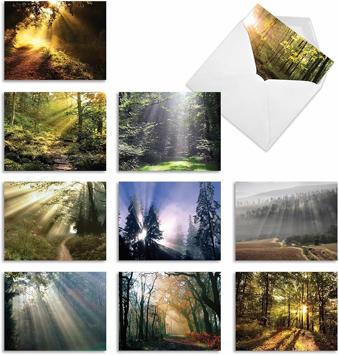 The Best Card Company - Box of 10 All Occasion Cards Blank (4 x 5.12 Inch) - Scenic Landscape Cards Assorted - Shining Through M1735BN