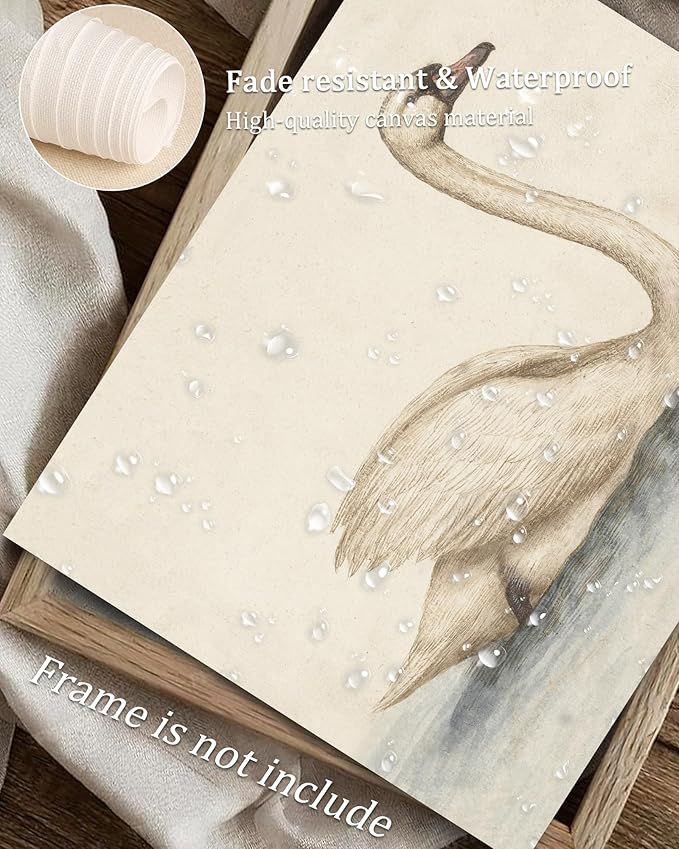 Vodefoad Vintage Wall Art Prints Decor Classical Swan Canvas Oil Painting Poster Pastel Watercolor Swan Vintage Art Pictures Farmhouse Style Wall Decor for Gallery Nursery Bedroom Bathroom Office - 8x10Inch Unframe