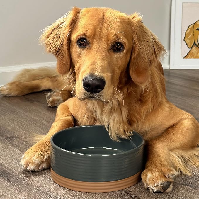 Mora Ceramic Pet Bowl Size Medium - Food/Water Dish for Large Puppies, Cats, Retrievers, Medium Sized Dogs, ect. 28oz or 4 Cups - Basic Bowls for Your Dog or Cat, Mix and Match for a Set - Charcoal