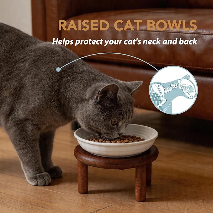 Havniva Elevated Cat Bowls Raised Ceramic Cat Bowl, 5.7” Wide Opening Cat Food Bowl Whisker Friendly Cat Dish Anti-Slip with Wood Stand, Shallow Pet Food & Water Bowl for Indoor Cats
