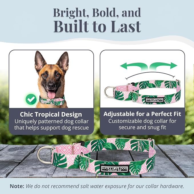 Lucky Love Dog Martingale Dog Collar - Adjustable, No-Slip, Comfortable, Durable, Soft Webbing & Stylish Patterned Collar for Male and Female Dogs Ideal for Training & Walking - Laguna, Large