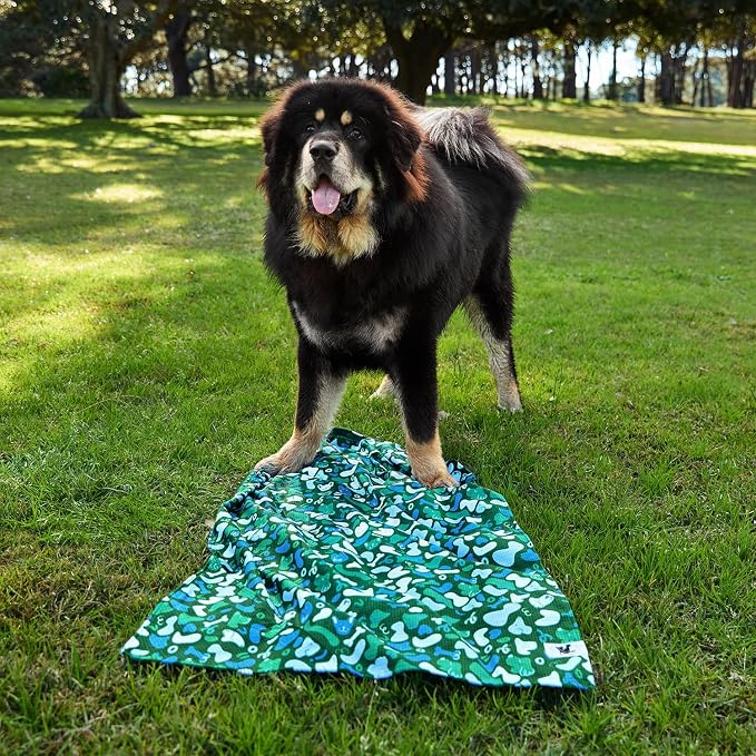 Dock & Bay Pet Towel - Super Absorbent & Quick Drying Dog Towels with Bag - 100% Recycled - Where's Woofy, Medium (90x50cm, 35x19)