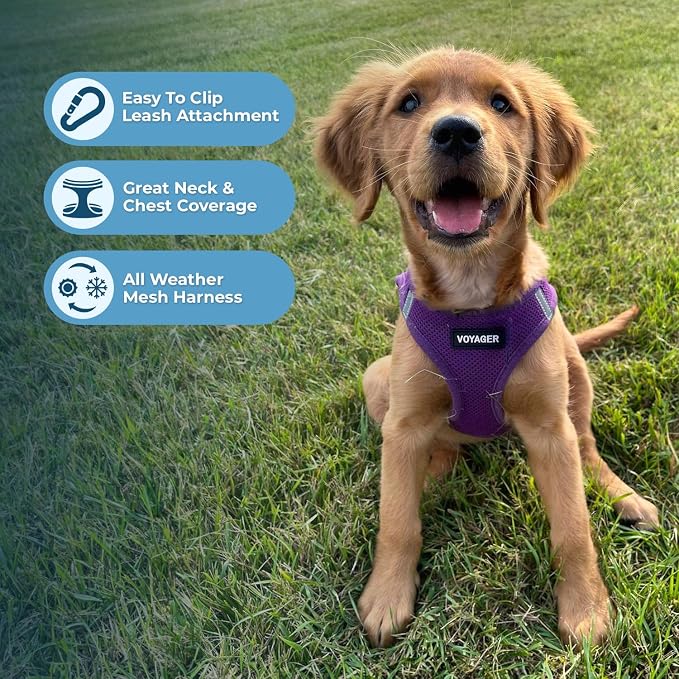 Best Pet Supplies Voyager Step-in Air All Weather Mesh Harness and Reflective Dog 5ft Leash Combo with Neoprene Handle, for Small, Medium and Large Breed Puppies - Purple, Small