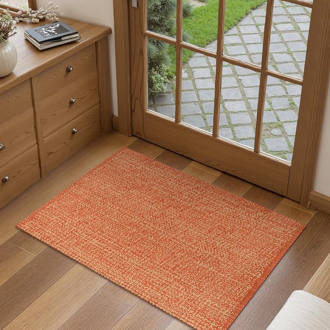 LEEVANG Small Bathroom Rug, 2' x 3' Washable Woven Entryway Rug Low Profile, Terra Reversible Front Door Mat, Farmhouse Kitchen Mat Modern Carpet for Bedroom/Porch/Back Door Decor