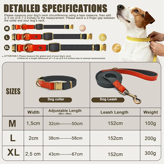 Dog Collar and Leash Set with Metal Quick Release Buckle, Adjustable, Breathable Nylon, Durable, Soft and Comfortable, No Pull for Walking and Training, Blue-Black, M (12.6"-19.6")