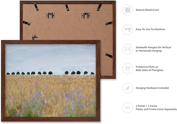 Monem Art Golden Meadow Horizon Landscape Print - Minimalist Nature Photography Poster - Wall Decor for Living Room, Bedroom or Office - 16x20 Brown Framed Wall Art by Mareike Bohmer