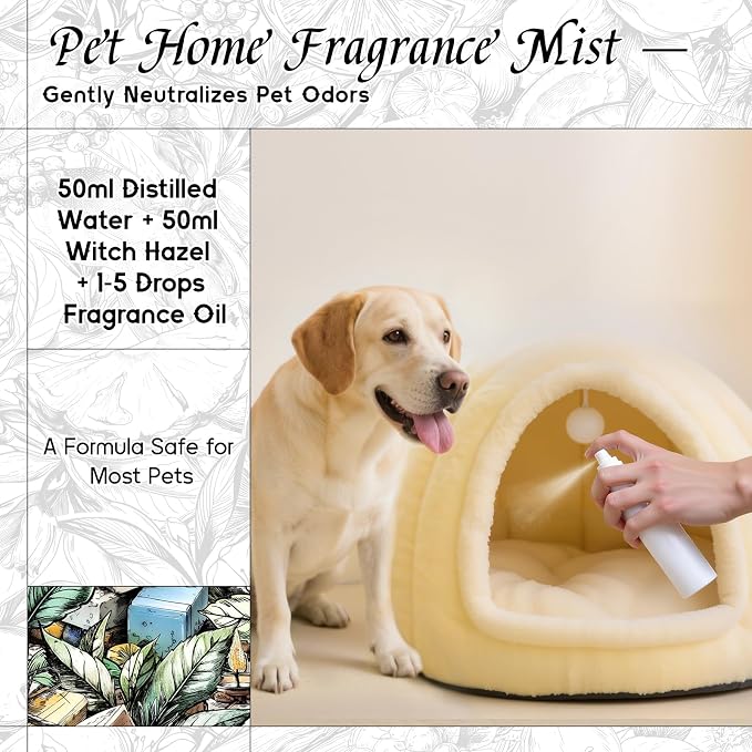 HIQILI Green Tea Fragrance Oil, Refreshing Scents for Laundry - 5.07 Fl Oz | Long-Lasing Aroma for Wool Dryer Balls, Candle & Soap Making, Home Diffusers, Pet Safe, Graduated Dropper Included