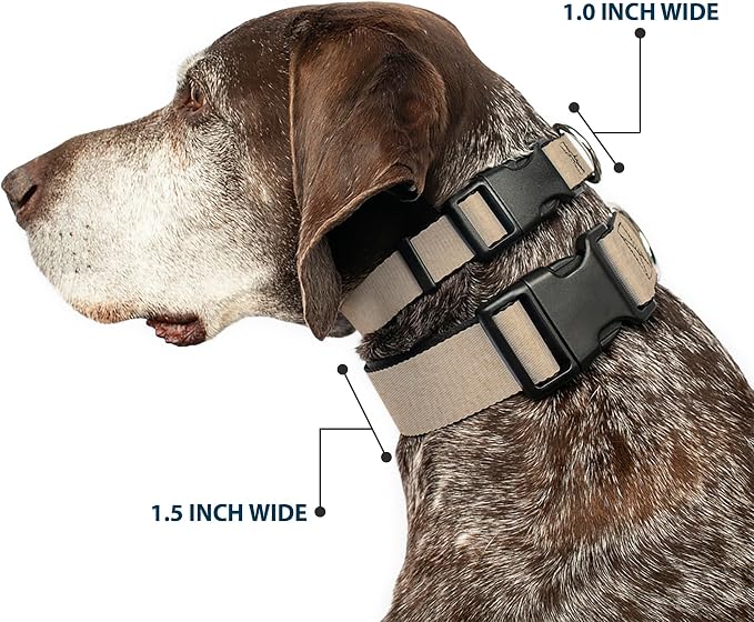 Dog Collar Plastic Clip Natural Hemp 18 to 32 Inches 1.5 Inch Wide