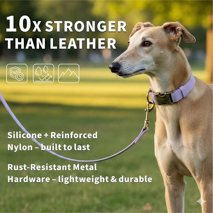 Silicone Dog Collar and Leash Set, Waterproof & Odor-Proof Puppy Collar for Small Dogs, Soft Flexible Leather-Look Dog Collars, Durable Thick Adjustable Pet Collar (Purple, Small (11-15.5" Neck))