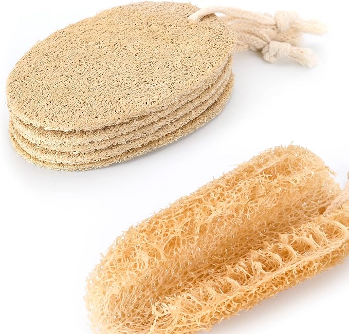 Gaia Guy Plastic-Free Dish Brush Set | 19-Piece Zero Waste Kitchen Cleaning Kit with Bamboo & Beech Wood Brushes, Cellulose Sponges, Natural Loofahs & Soap Holders | Eco Friendly Dishwashing Set