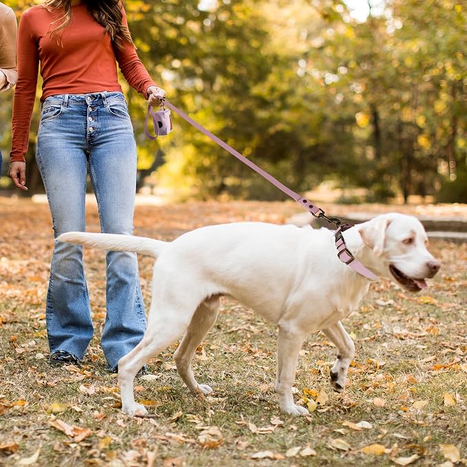 Wisedog Waterproof Dog Collar and Leash Set, S, Pale Pinkish Purple | Adjustable Puppy Collar, Cute Tag, 4FT Dog Leash, Poop Bag Included, Small Medium Large Dogs