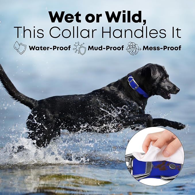 Regal Dog Products Large Blue Dog Collar with Heavy Duty Double Buckle & D Ring | Vinyl Coated, Custom Fit, Adjustable Biothane Dog Collar | Chew Resistant Waterproof Collar for Dogs