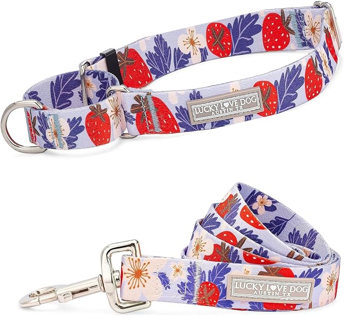 Lucky Love Dog Martingale Collar and Leash Set, Premium Fun Girl No Slip Collars, Strawberry Martingale Dog Collar and Leash Set, Great for Whippets, Greyhounds, and More (Sweet Berry, Small - Combo)