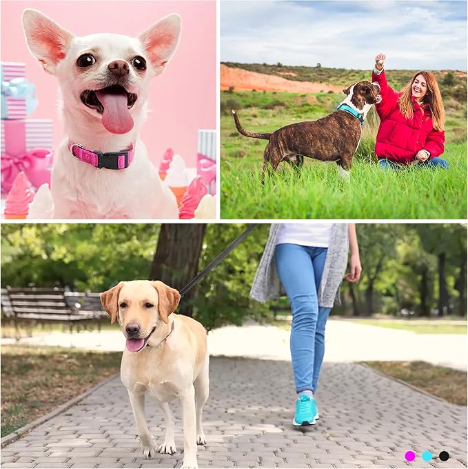 Soft Neoprene Padded Dog Collar and Leash Set for Small Medium Large Dogs, Reflective Durable Nylon Dog Collar with 5ft Leash Easy for Walking, Black,Neck fit 10.5-15.5’’