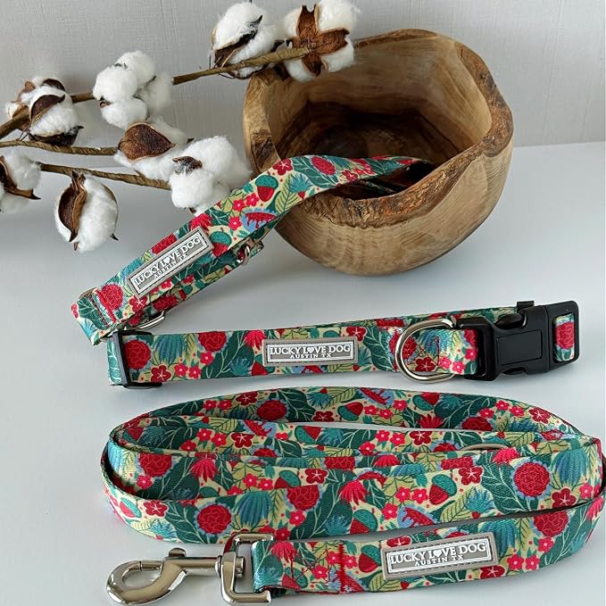 Lucky Love Dog - Easy Click Buckle Dog Collar with Leash Set Combo, Durable & Comfortable for Male & Female Dogs, Pet Collar for Small Dogs, Secure Fit - Ginny Combo, XS