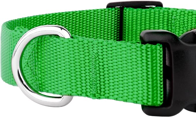 Country Brook Petz - Everyday Nylon Dog Collar and Leash - 10+ Cool Colors (1 Inch, Large, Hot Lime Green)