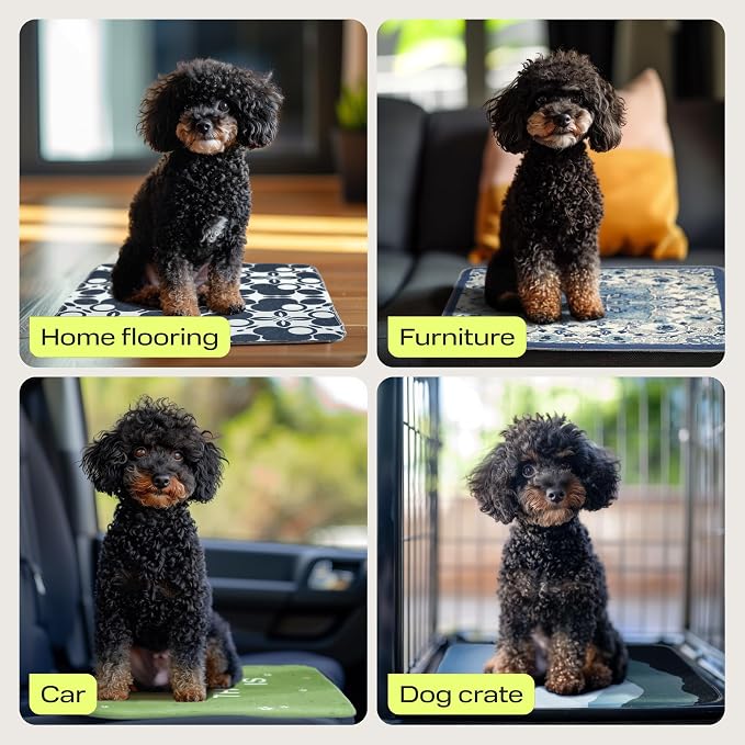 PetSpy Washable Pee Pads for Dogs - Waterproof Reusable Puppy Pads No-Slip Surface - Stylish Dog Potty Training Pads Protect Against Leakage (Grass, 1 Pack - 72" x 72")
