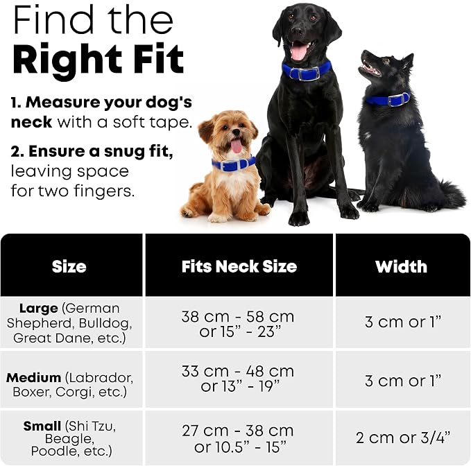 Regal Dog Products Medium Blue Waterproof Dog Collar and Leash Set | Heavy Duty Double Buckle & D Ring - 5'ft Leash | Adjustable Biothane Dog Collar | Chew Resistant Waterproof Collar for Dogs