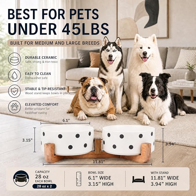 Petygooing Dog Bowls Ceramic, Cat Dog Bowl Set with Wood Stand for Food and Water,Non-Slip Cute Modern Pet Dishes for Cats Medium Size Dogs (28OZ/6.1 in) Black Dot