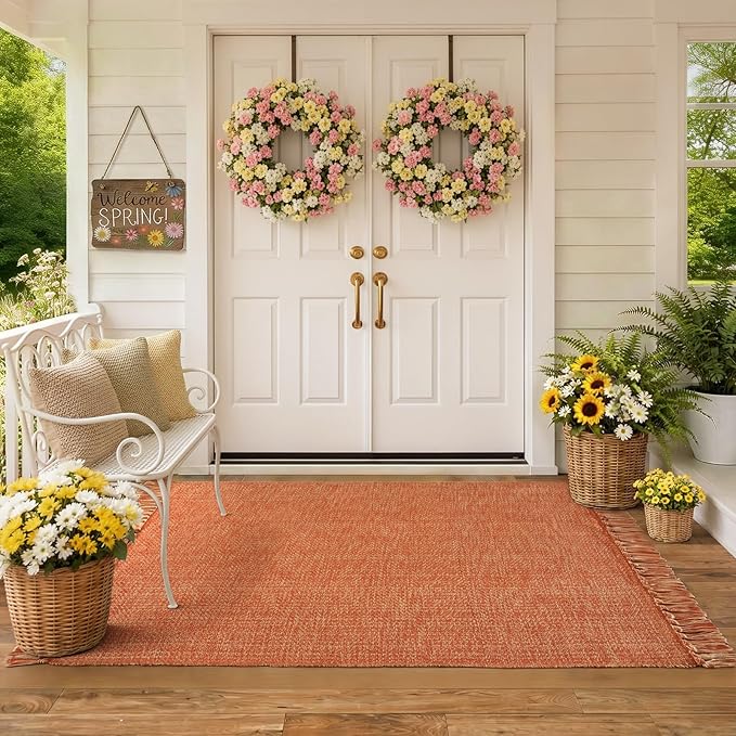 Collive Washable Area Rug 3' x 5', Modern Woven Kitchen Rugs, Terracotta Braided Cotton Rug Indoor Door Mat Throw Carpet for Entryway Living Room Nursery Laundry Room