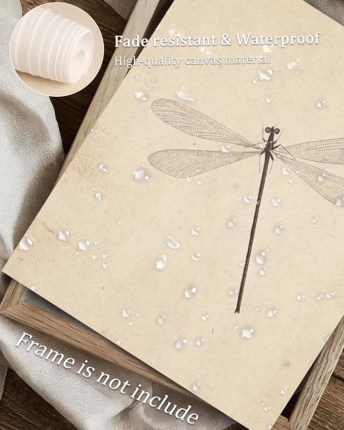 Vodefoad Vintage Dragonfly Sketch Art Print, Neutral Insect Animal Wall Decor, Antique Dragonfly Drawing Canvas Oil Painting, Minimalist Animal Wall Decorations, Retro Artwork Pictures for Gallery Bedroom Living Room Decor - 8x10Inch Unframe