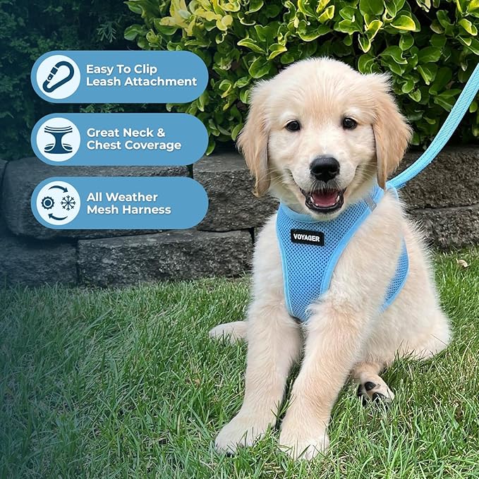 Best Pet Supplies Voyager Step-in Air All Weather Mesh Harness and Reflective Dog 5ft Leash Combo with Neoprene Handle, for Small, Medium and Large Breed Puppies - Baby Blue, XXX-Small