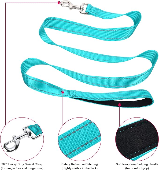 Soft Neoprene Padded Dog Collar and Leash Set for Small Medium Large Dogs, Reflective Durable Nylon Dog Collar with 5ft Leash Easy for Walking, Teal,Neck fit 10.5-15.5’’