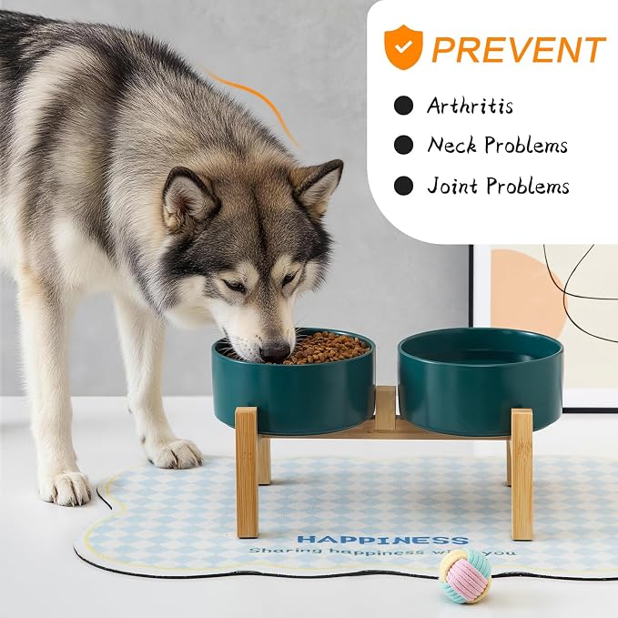 Raised Ceramic Dog Bowl Set - Elevated Dog Bowls with Non Slip Bamboo Stand, Food and Water Bowl Set for Small and Medium Breed Dogs, Pet Bowls, Weighted Dogs Dishes (6'', 2 * 30OZ, Green)