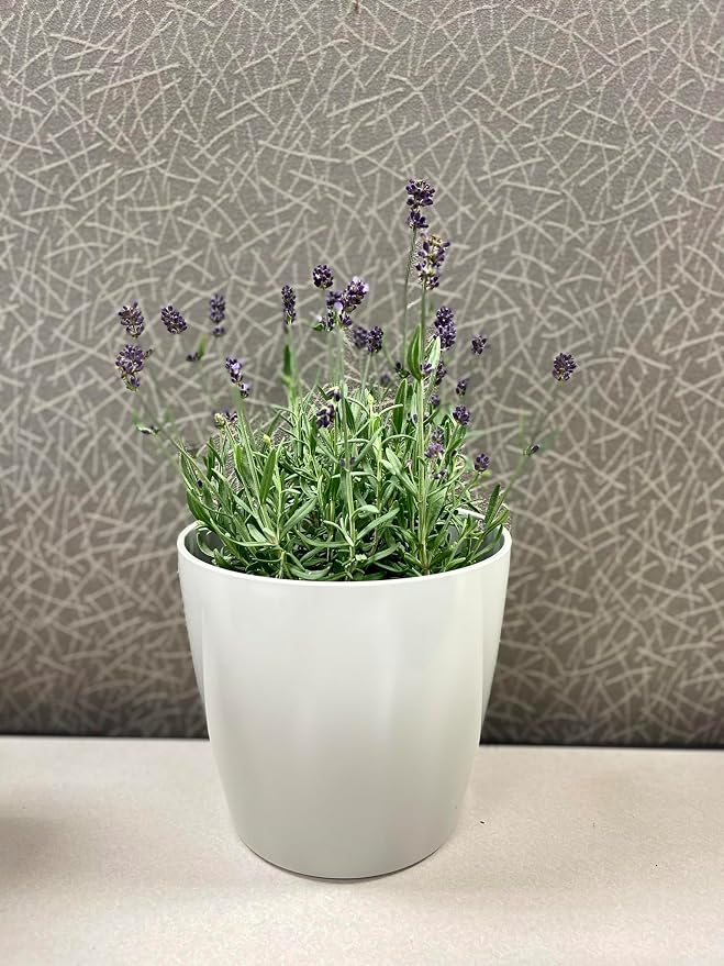 7" & 5" Round Self-Watering Plant Pot Set, Indoor/Outdoor Use