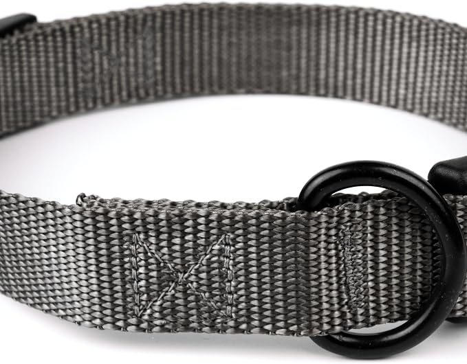 Country Brook Petz - Everyday Nylon Dog Collar and Leash - 10+ Cool Colors (3/4 Inch, Small, Charcoal)