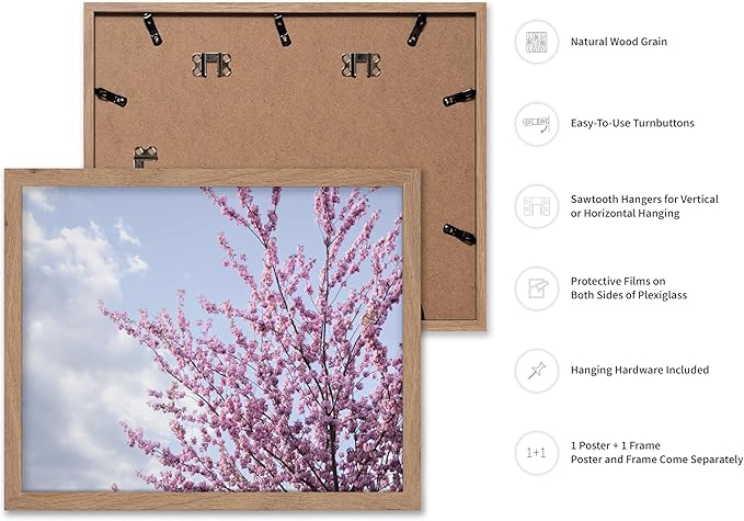 Monem Art Cherry Blossom Spring Sky Photography Print - Floral Nature Art Poster - Wall Decor for Living Room, Bedroom or Office - 16x20 Beige Framed Wall Art by Mareike Bohmer