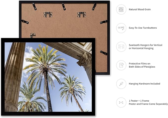 Monem Art Palermo Palm Trees Sicily Print - Tropical European Architecture Poster - Wall Decor for Living Room, Bedroom or Office - 12x16 Black Framed Wall Art by Mareike Bohmer